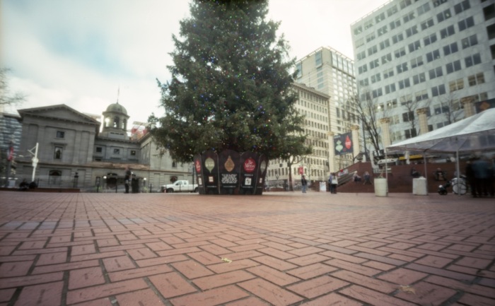 a not very good photo of the Portland Christmas tree